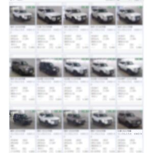 ランクル250転売